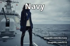 navy