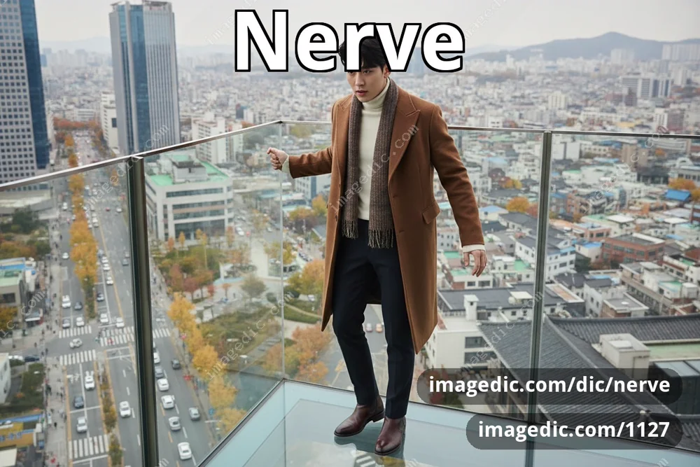 nerve
