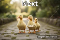 next
