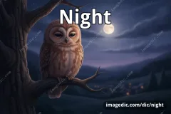 night