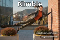 nimble