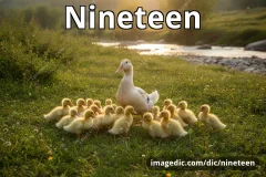 nineteen