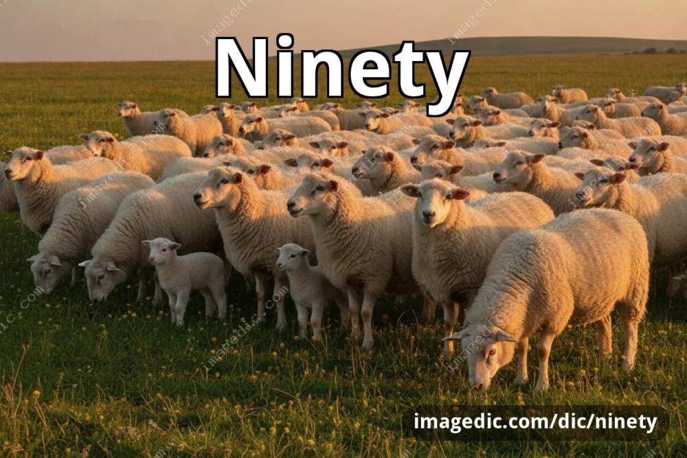 ninety