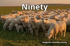 ninety