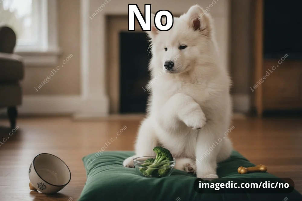 no
