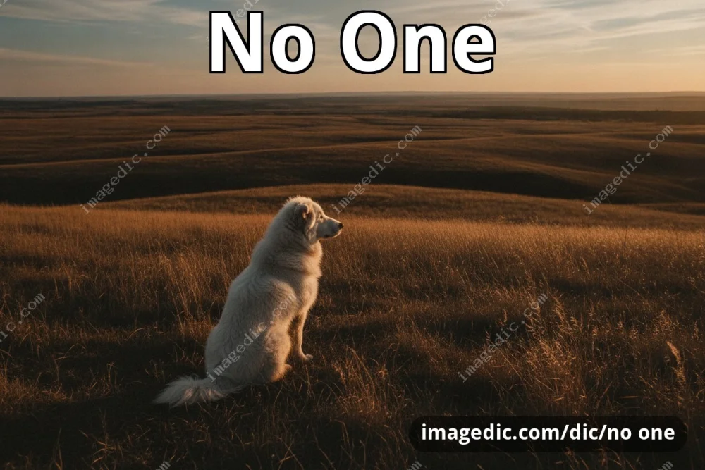 no one