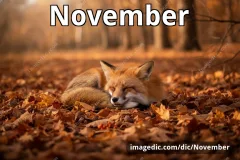 November