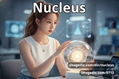 nucleus