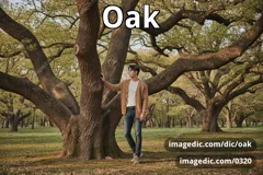 oak