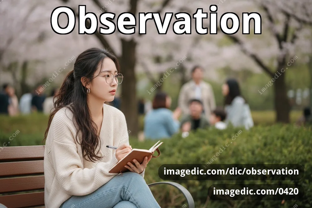 observation