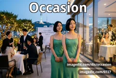 occasion