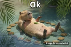 OK