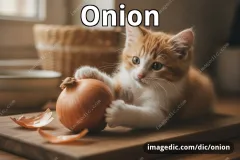onion