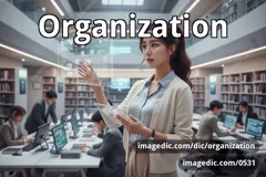 organization