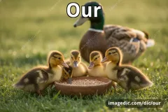our