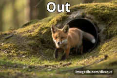 out