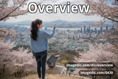 overview