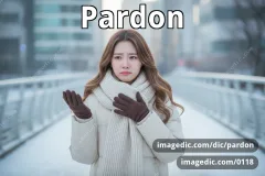 pardon