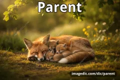 parent