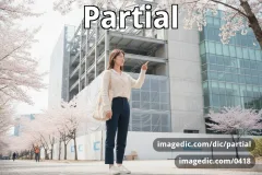 partial