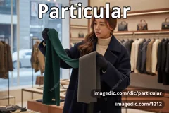 particular