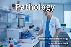 pathology