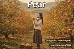 pear