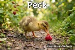 peck