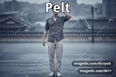 pelt