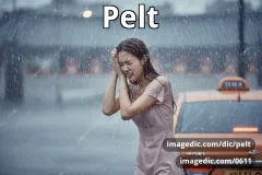 pelt