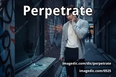 perpetrate