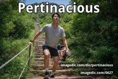 pertinacious