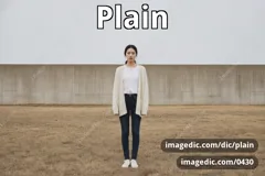 plain