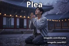 plea