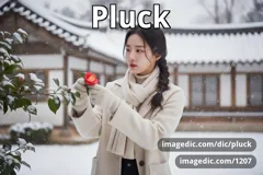 pluck