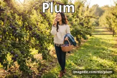plum