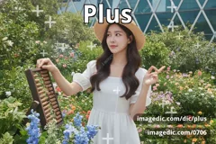 plus