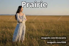 prairie