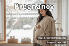 pregnancy
