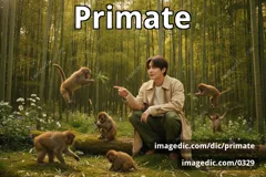 primate