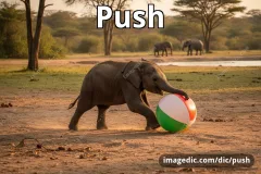 push