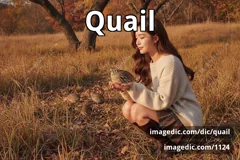 quail