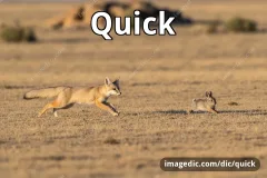 quick