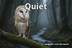quiet