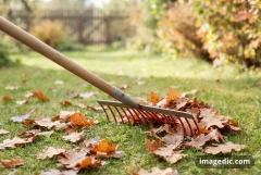 rake