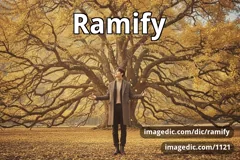 ramify