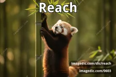 reach