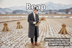 reap