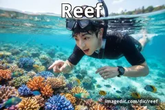 reef