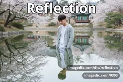 reflection